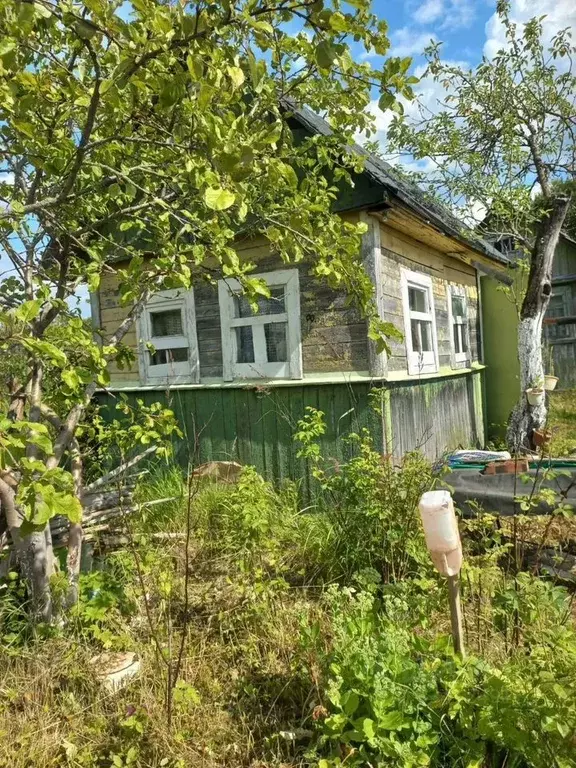 Участок в Ленинградская область, Сланцы Дружба СНТ,  (5.0 сот.) - Фото 2