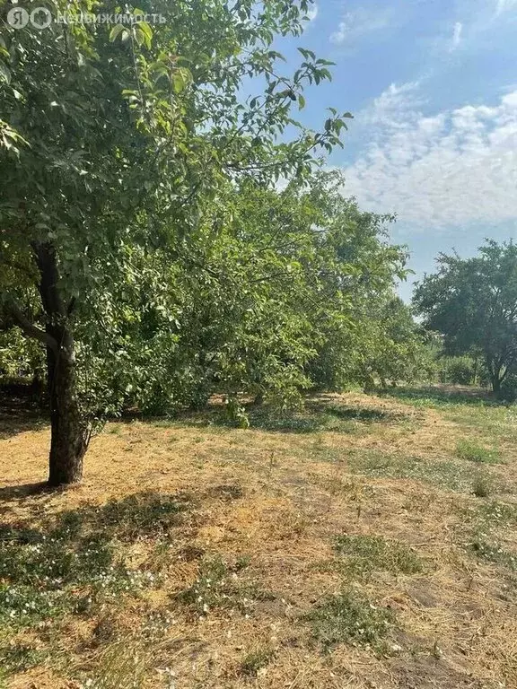 Участок в станица Воронцовская, Красная улица (10 м) - Фото 1
