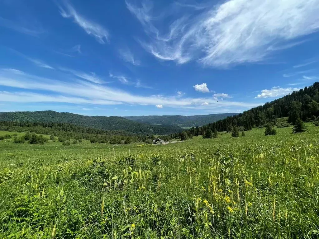 Участок в Алтай, Чемальский район, Седьмое небо кп  (30.28 сот.) - Фото 0
