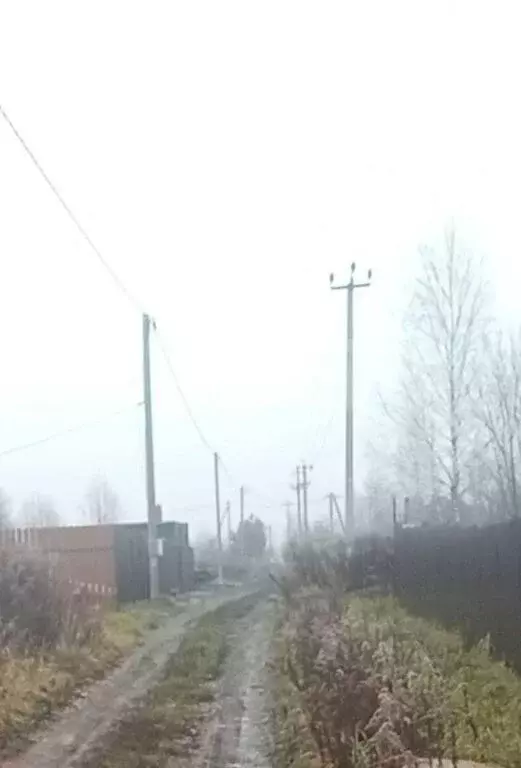 Участок в Добрунское сельское поселение, СДТ БЭМЗ (6 м) - Фото 2