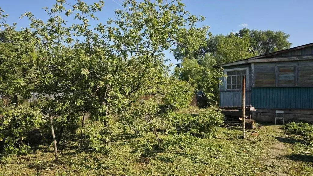 Участок в Тамбовская область, Тамбов Прогресс СНТ,  (6.1 сот.) - Фото 2