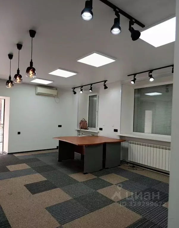 Офис в Новосибирская область, Новосибирск ул. Серафимовича, 1/4 (45 м) - Фото 2