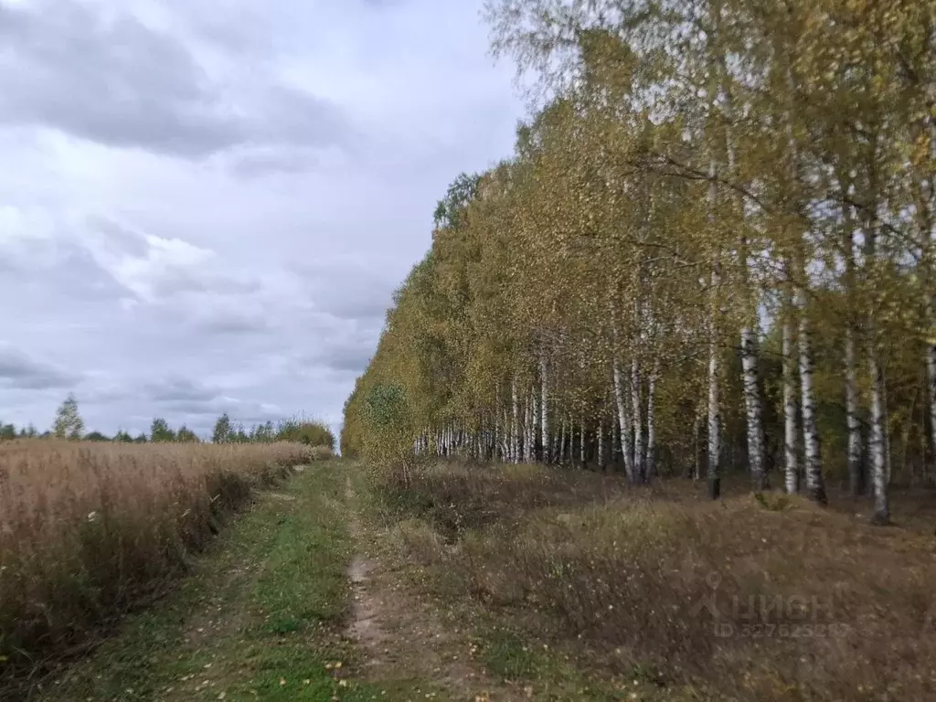 Участок в Нижегородская область, Кстовский муниципальный округ  (11.0 ... - Фото 1
