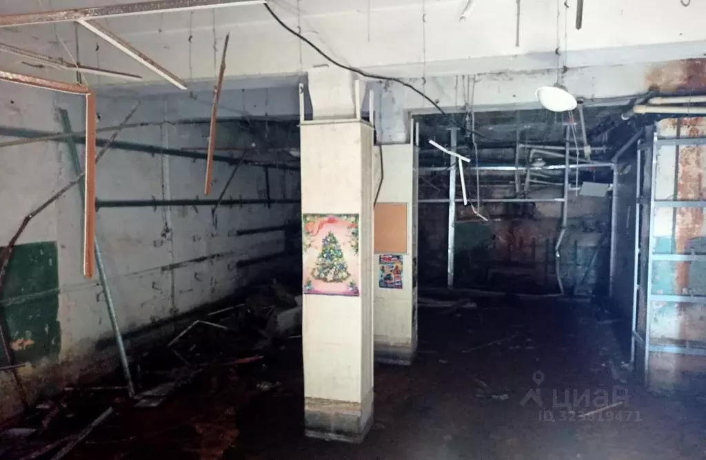 Помещение свободного назначения в Брянская область, Брянск Московский ... - Фото 2