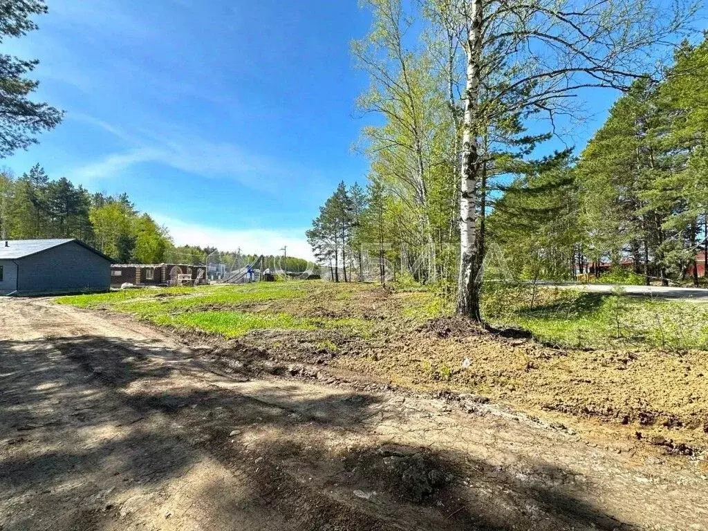 Участок в Тюменская область, Тюменский муниципальный округ, с. ... - Фото 2