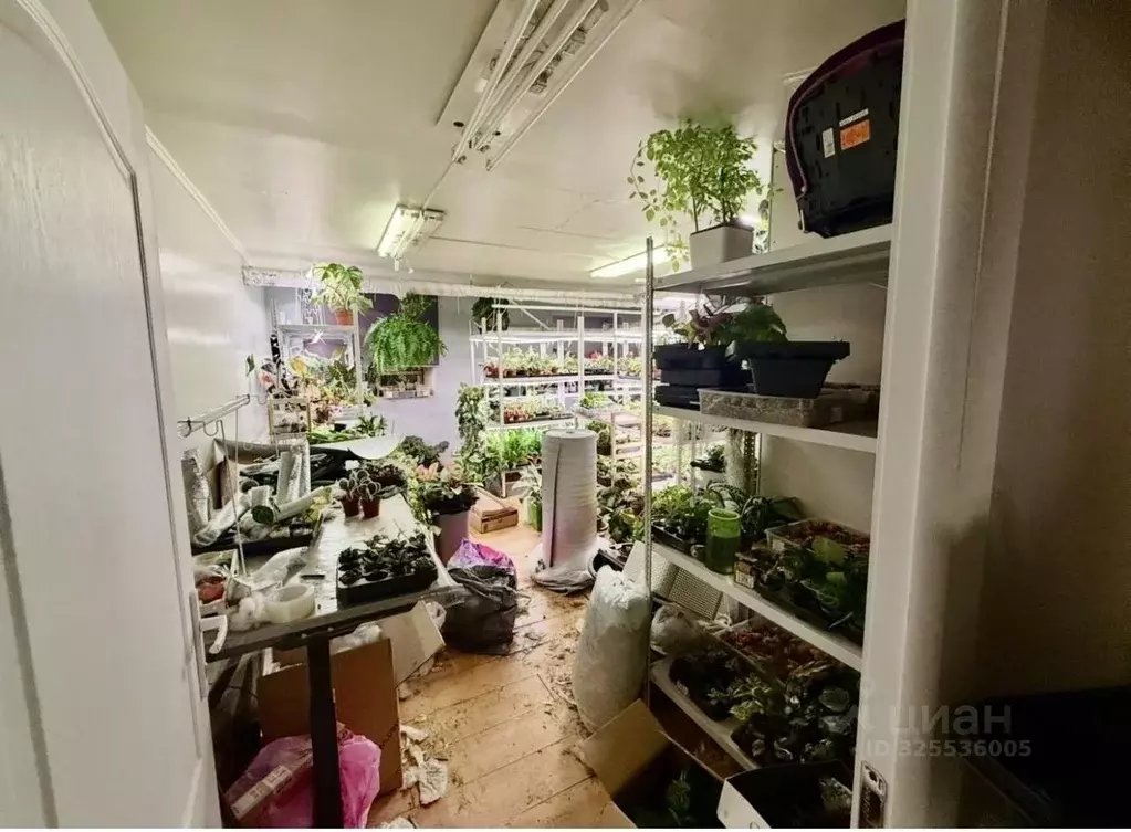 Помещение свободного назначения в Москва Сумской проезд, 21К1 (35 м) - Фото 2