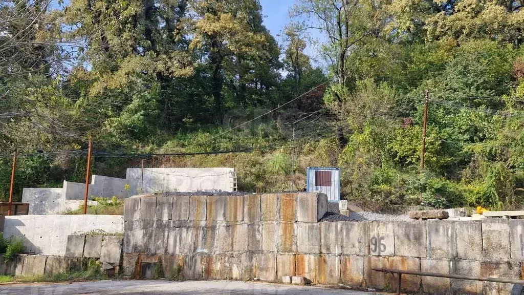 Участок в Краснодарский край, Сочи ул. Пригородная (6.0 сот.) - Фото 1