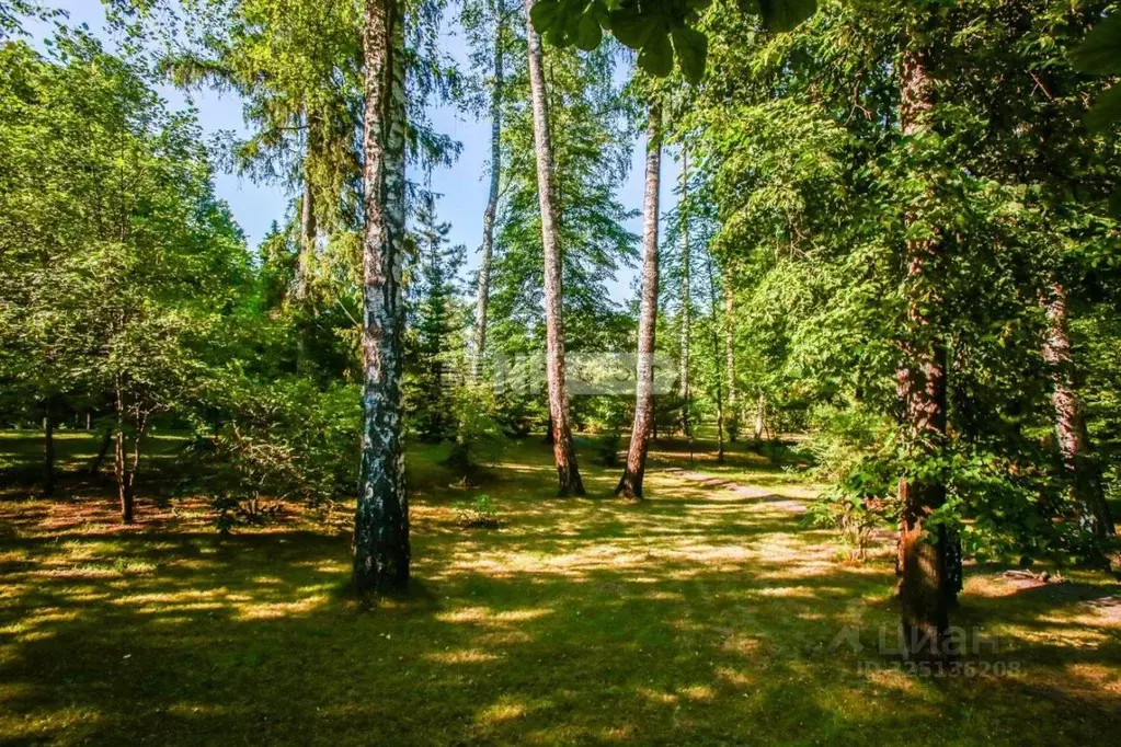 Участок в Московская область, Звенигород Одинцовский городской округ, ... - Фото 1