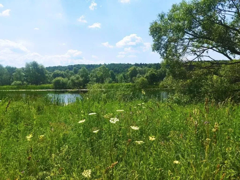 Участок в Тульская область, Ясногорский район, Иваньковское с/пос, с. ... - Фото 1
