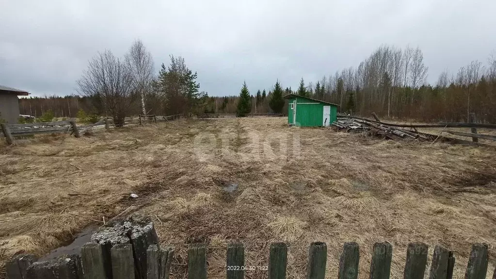 Участок в Коми, Сыктывкар городской округ, пос. Верхний Мыртыю ул. ... - Фото 1