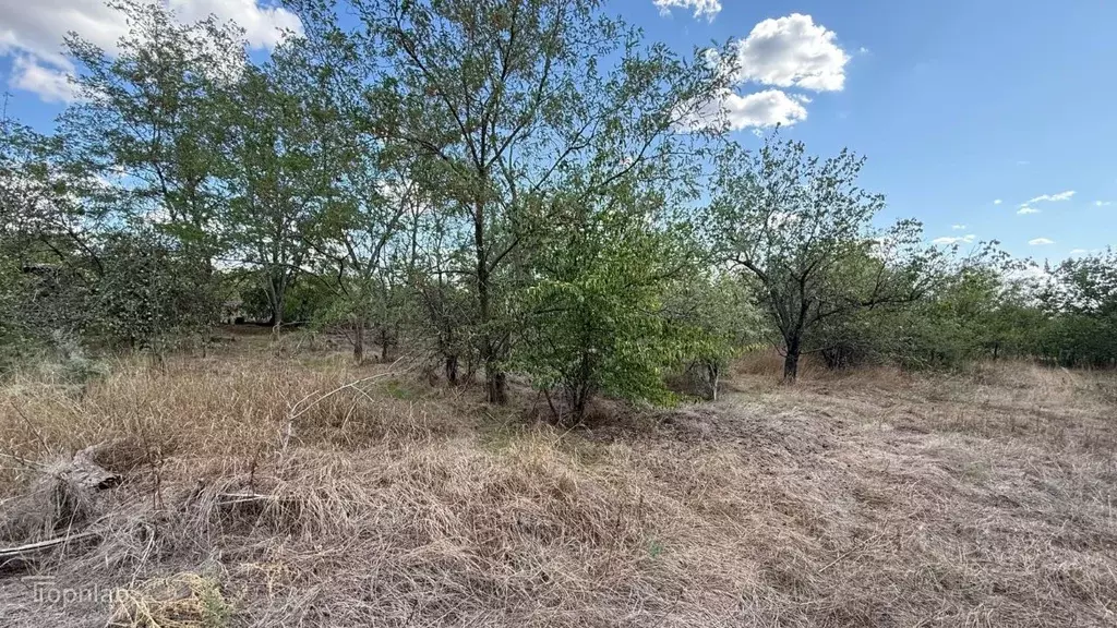Участок в Ростовская область, Усть-Донецкий район, Мелиховская ст-ца ... - Фото 2