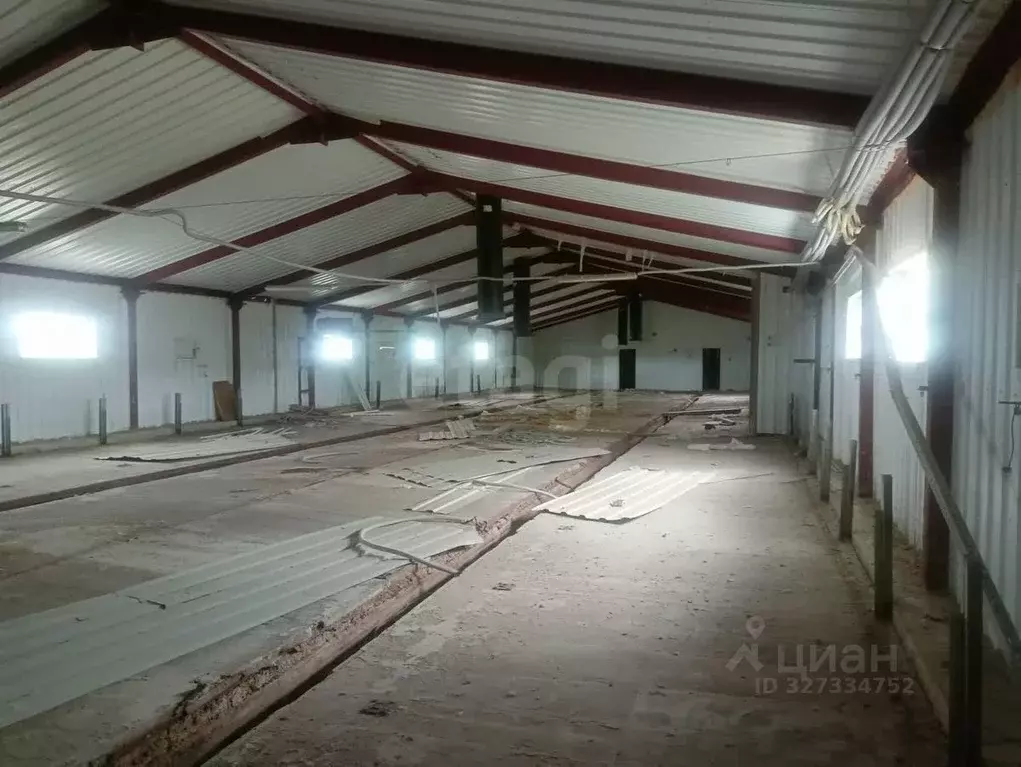 Склад в Саратовская область, с. Широкий Буерак ул. Рабочая, 25 (1068 ... - Фото 2