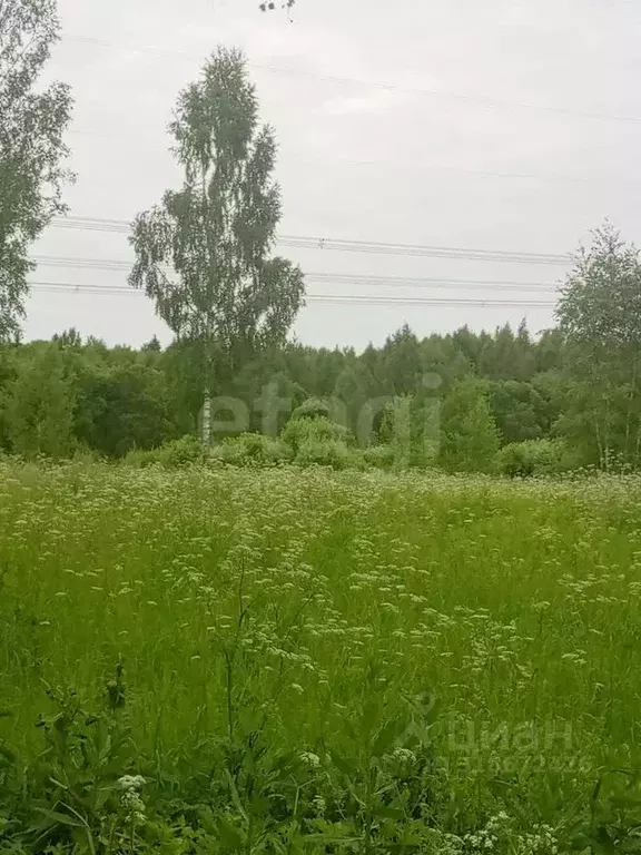 Участок в Калужская область, Малоярославецкий муниципальный округ, ... - Фото 1