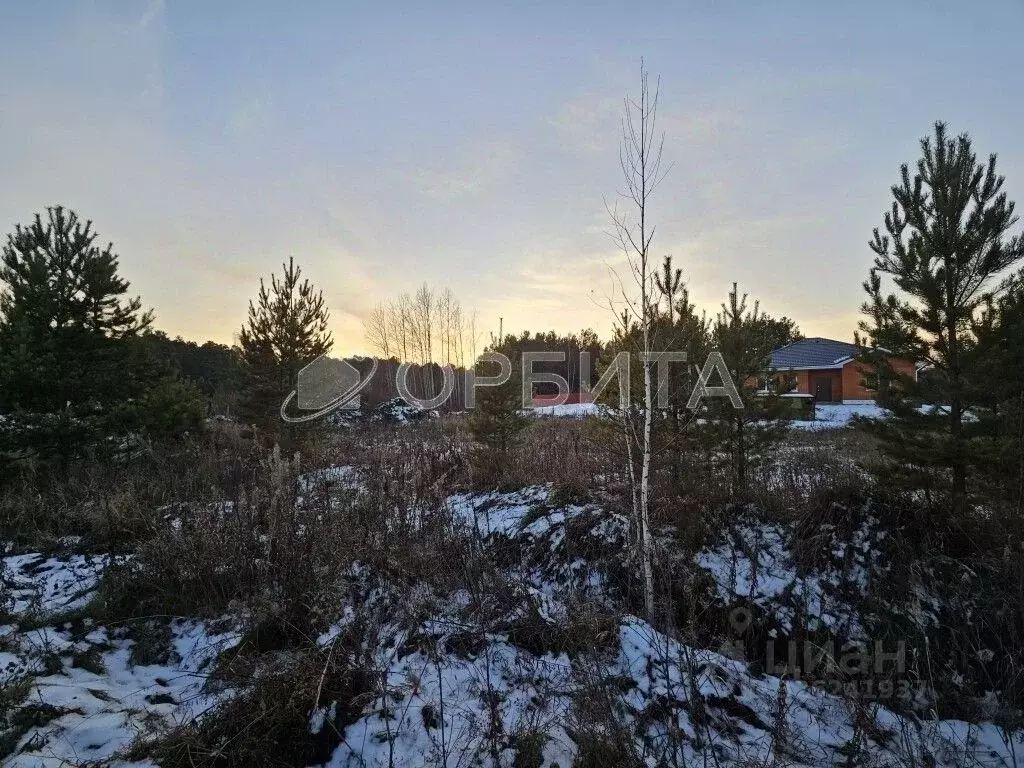 Участок в Тюменская область, Тюменский муниципальный округ, с. ... - Фото 2