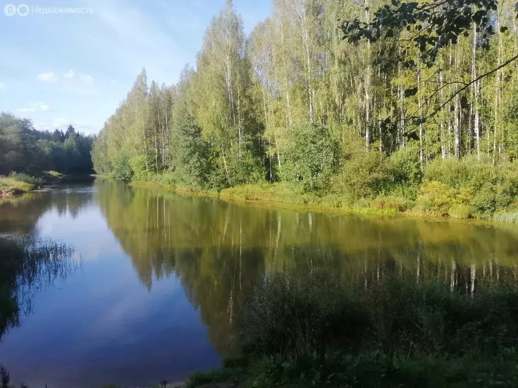 Участок в Ленинградская область, Гатчинский муниципальный округ, ... - Фото 0