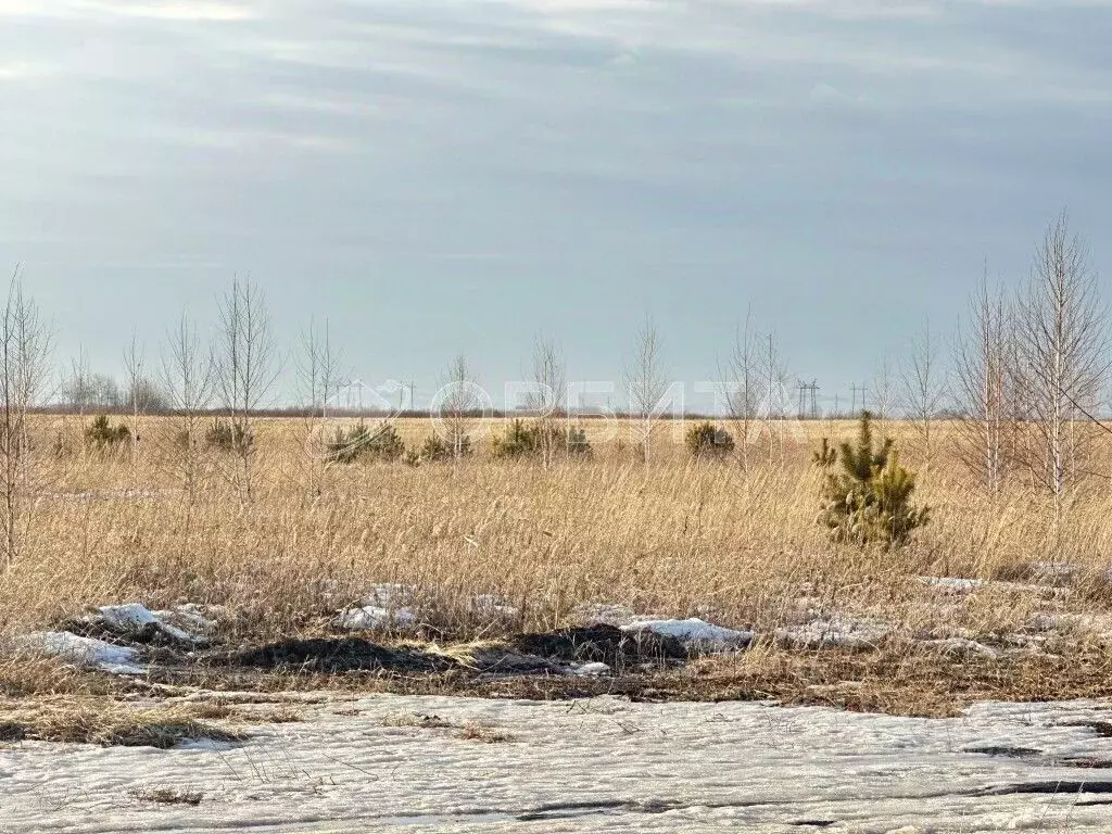 Участок в Тюменская область, Тюменский муниципальный округ, с. Ембаево ... - Фото 1