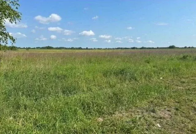 Участок в Калининградская область, Гурьевский муниципальный округ, ... - Фото 1