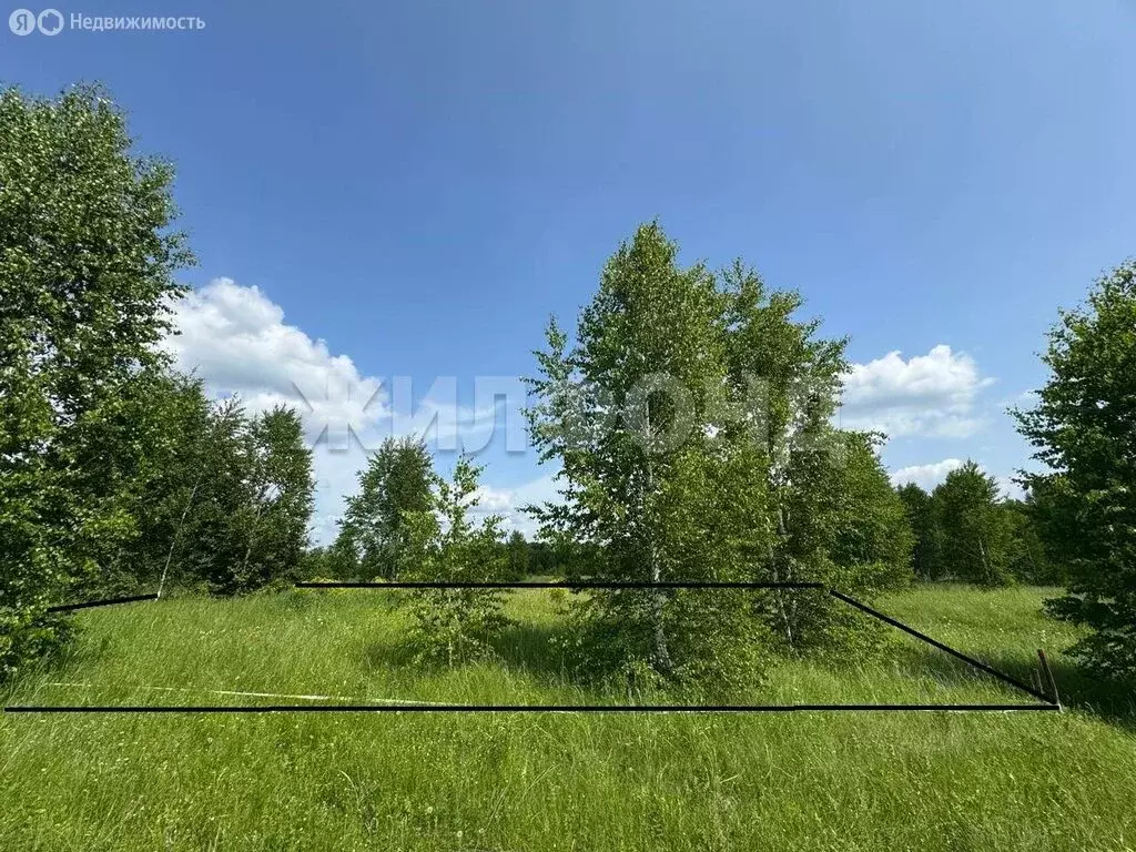 Участок в Каменский сельсовет, ДНТ Каменский Оазис, Весенняя улица (8 ... - Фото 0