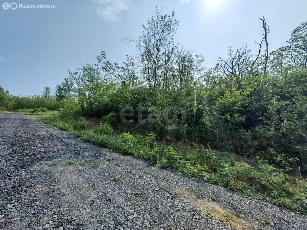 Участок в Родионово-Несветайский район, Кутейниковское сельское ... - Фото 0
