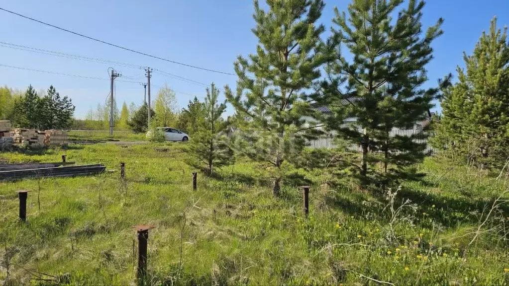 Участок в Тюменская область, Ялуторовский район, д. Озерная  (6.7 ... - Фото 0