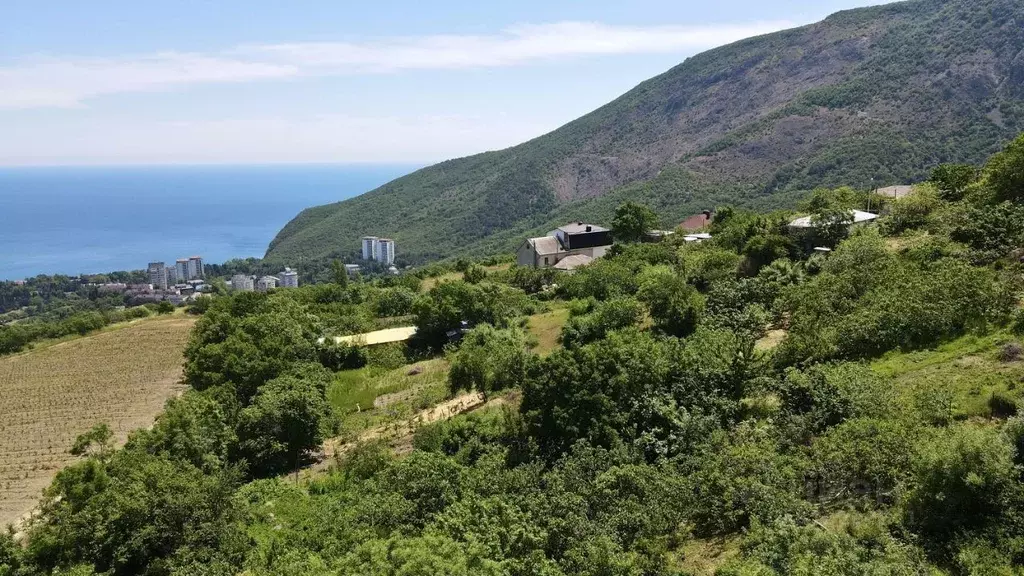 Участок в Крым, Алушта муниципальный округ, с. Лавровое ул. ... - Фото 1