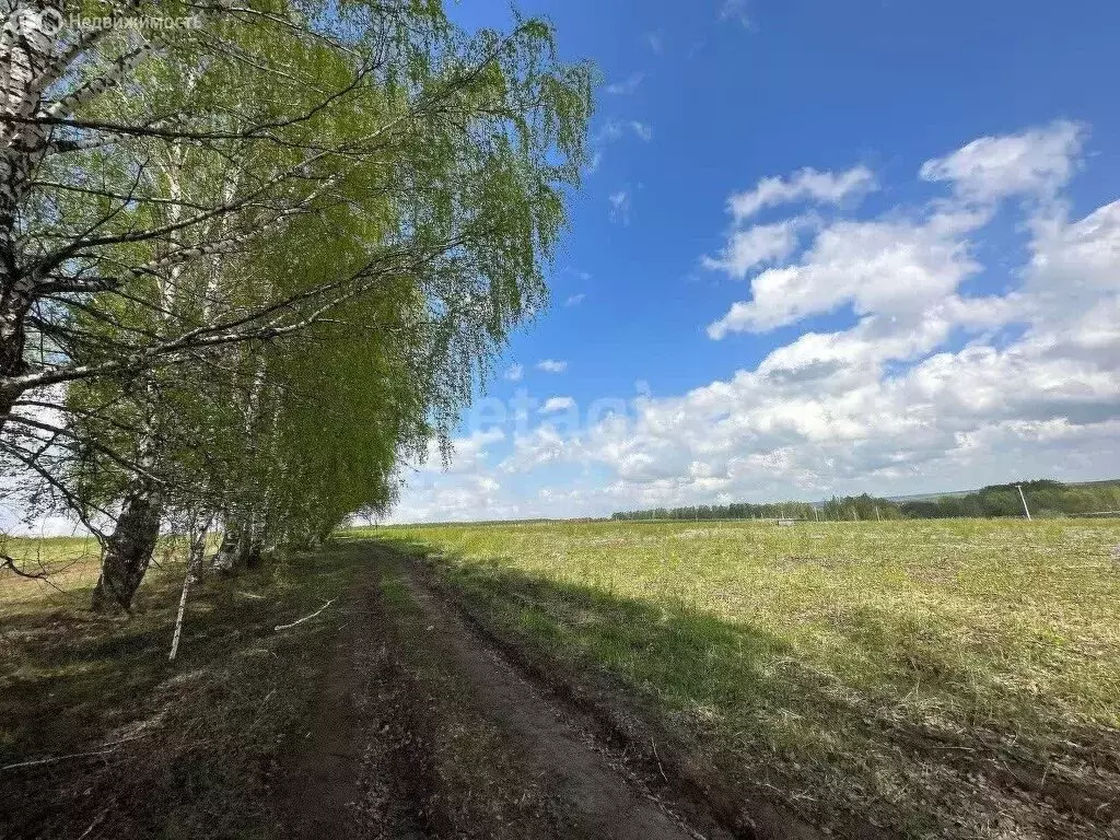 Участок в Нижегородская область, Богородский муниципальный округ, ... - Фото 1