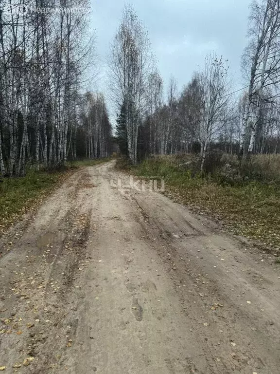 Участок в Нижегородская область, муниципальный округ Сокольский, ... - Фото 1