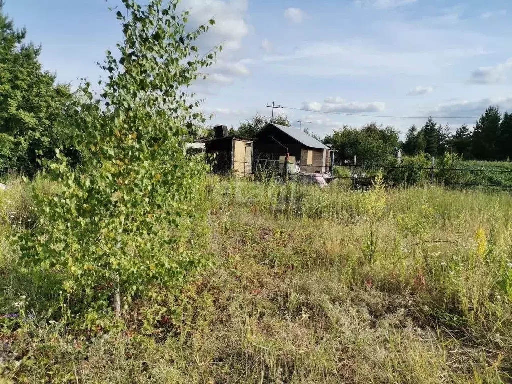 Купить Дачу В Воронежской Области П Подпольный