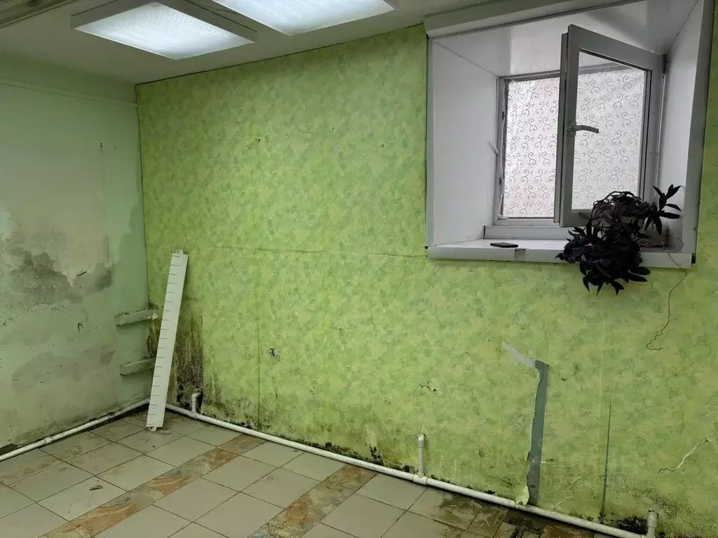 Помещение свободного назначения в Тюменская область, Ишим ул. Ленина, ... - Фото 1