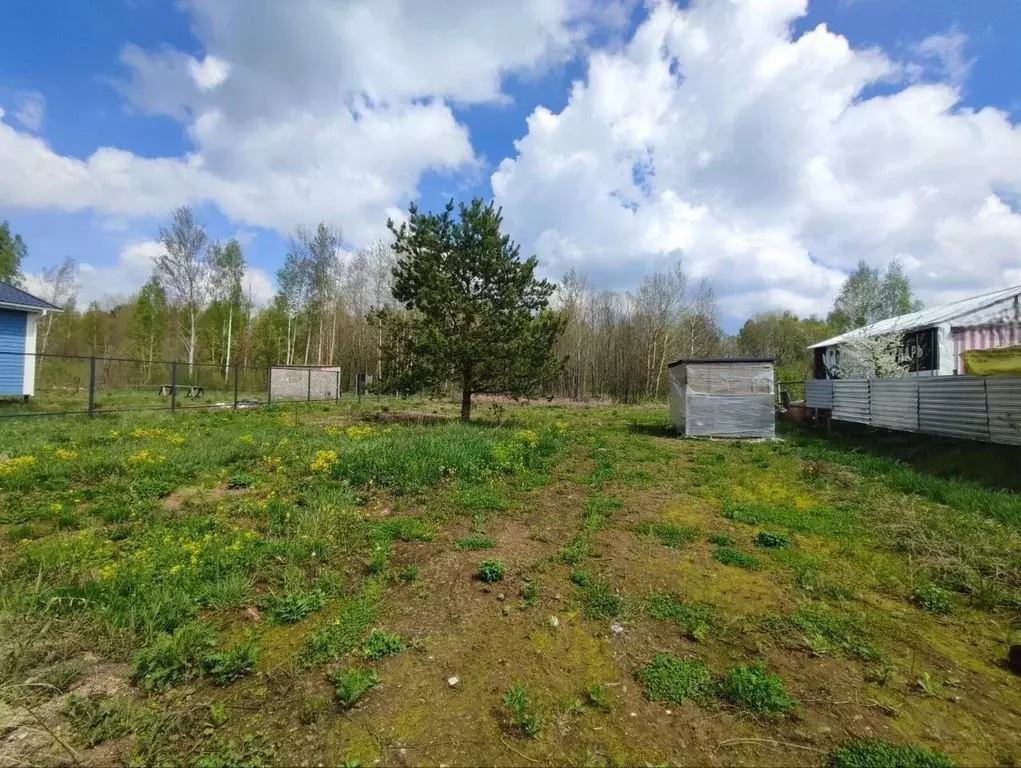 Участок в Московская область, Щелково городской округ, Сады на Реке ... - Фото 2