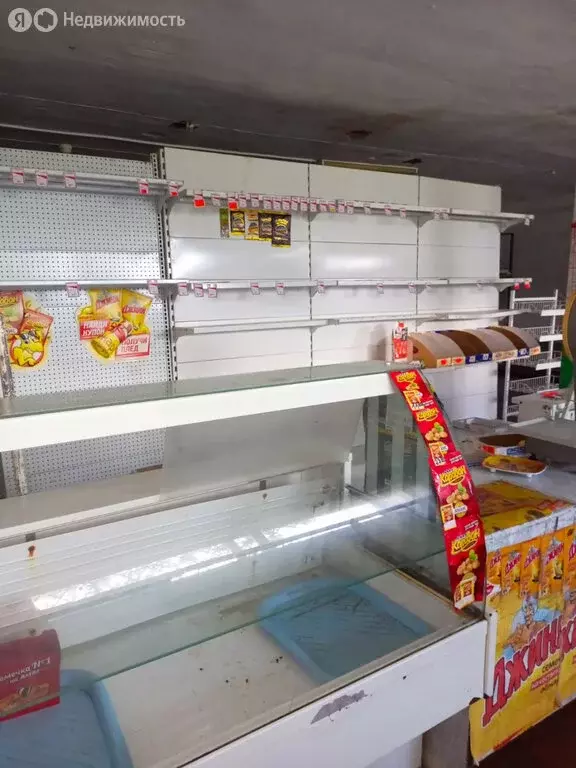 Помещение свободного назначения (105 м) - Фото 2