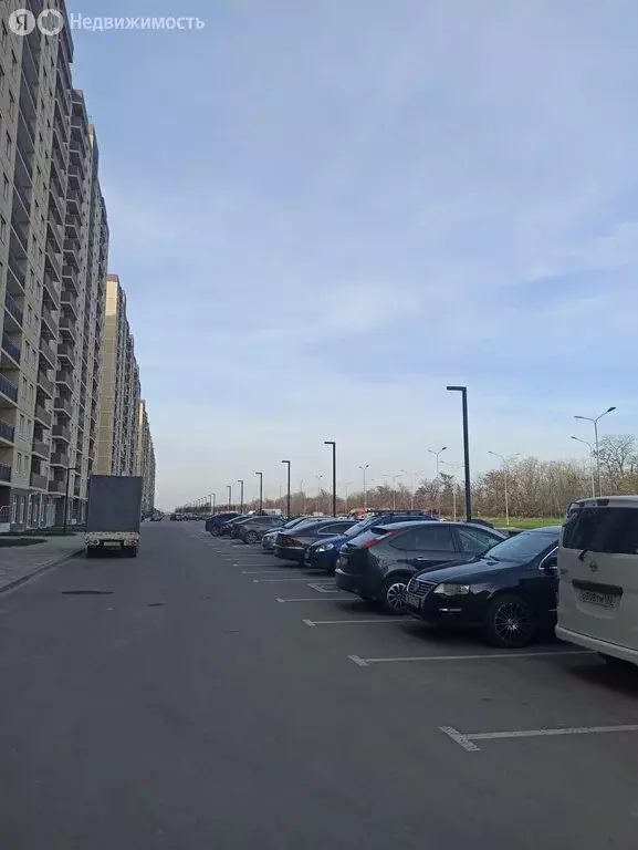 Торговая площадь (36 м) - Фото 2