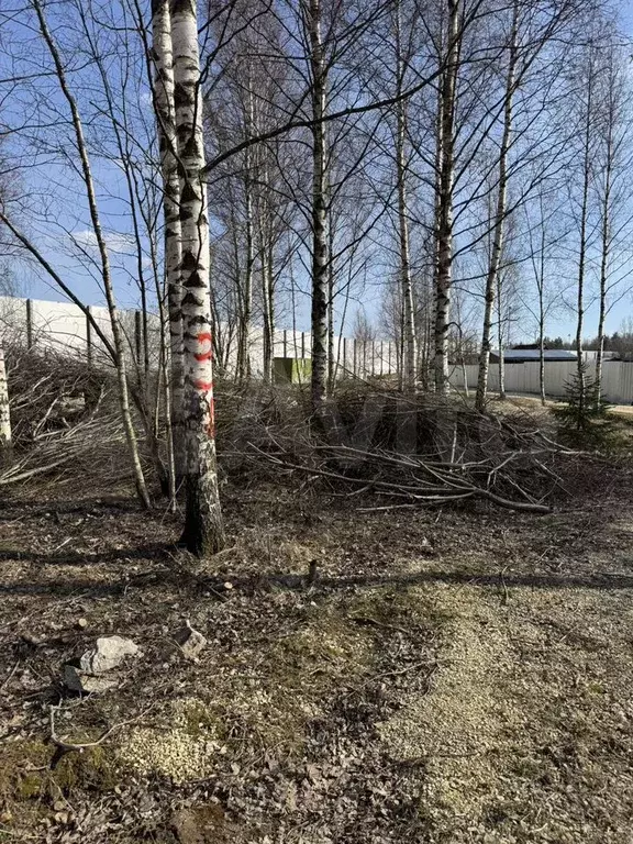 Участок 8 сот. (СНТ, ДНП) - Фото 0