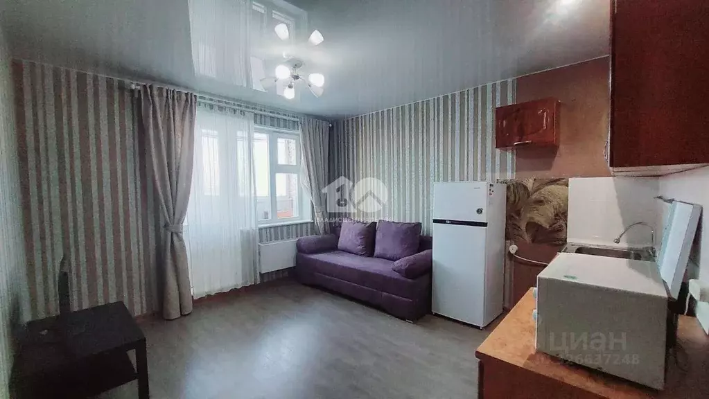 Студия Новосибирская область, Новосибирск ул. Фадеева, 66/8 (21.1 м) - Фото 1