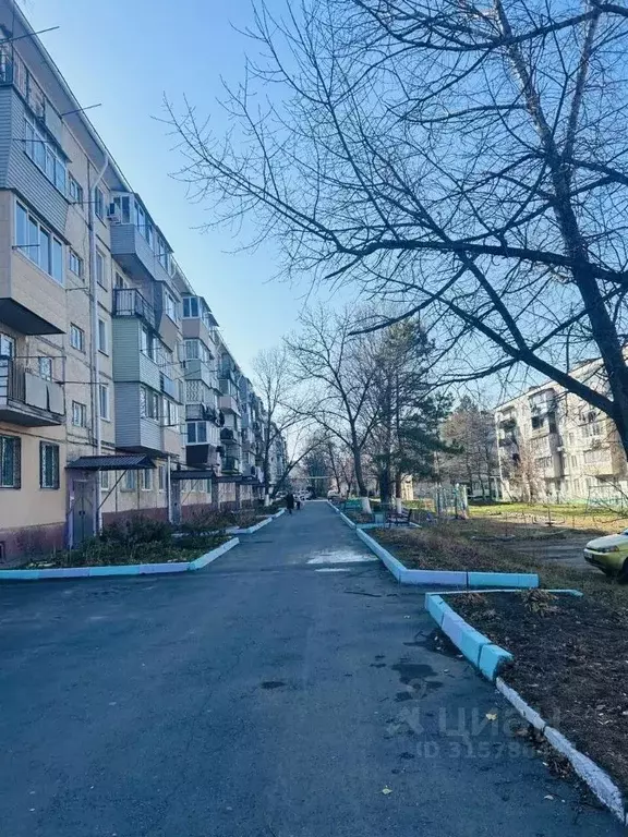 3-к кв. Приморский край, Михайловский муниципальный округ, ... - Фото 0