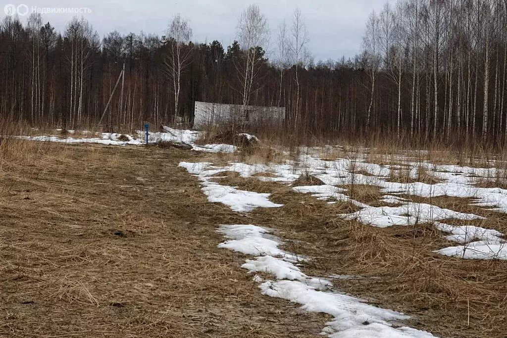 Участок в Брянск, квартал Мамоново Поле (10 м) - Фото 1