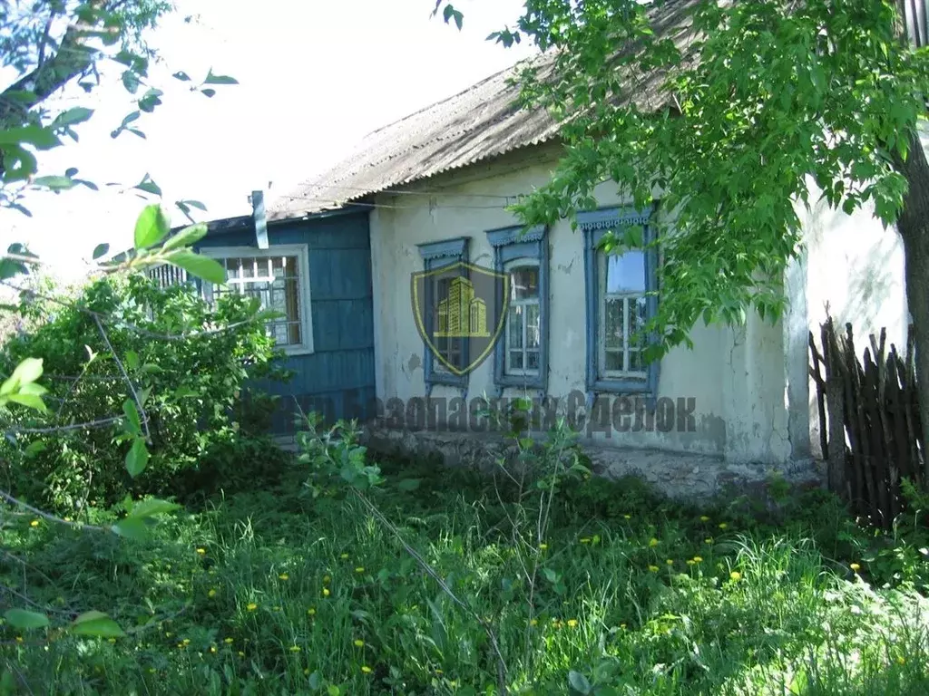 Дом в Рязанская область, Пронск рп ул. Старо-Стрелецкая, 69 (46 м) - Фото 2