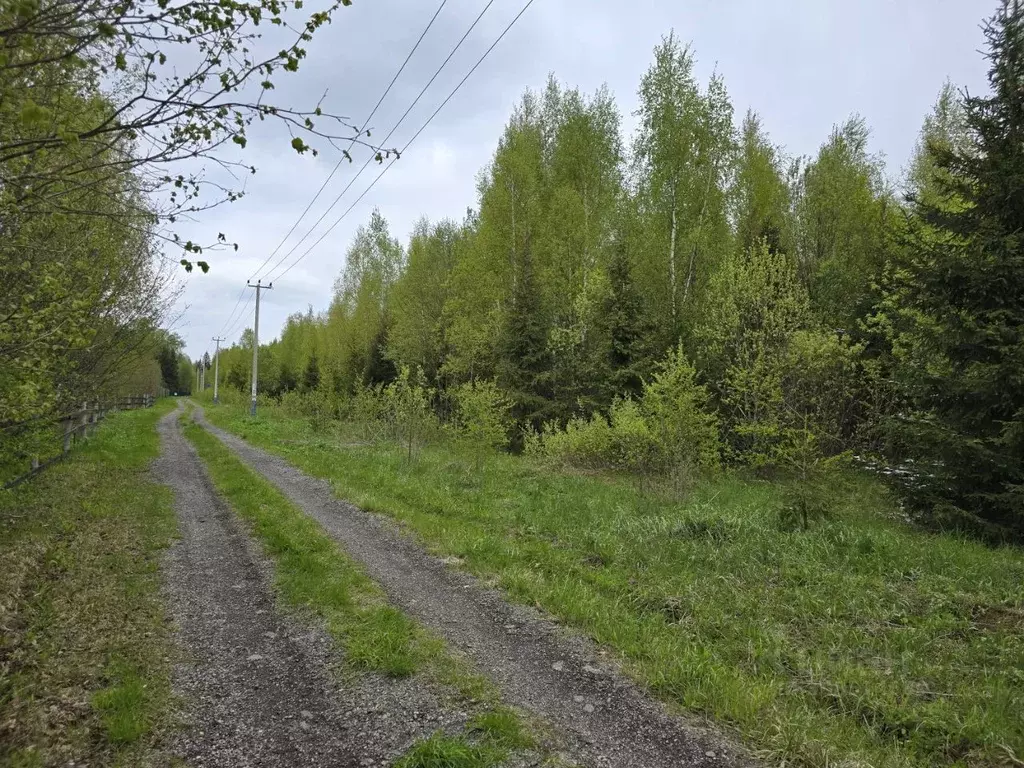 Участок в Московская область, Солнечногорск городской округ, д. ... - Фото 1