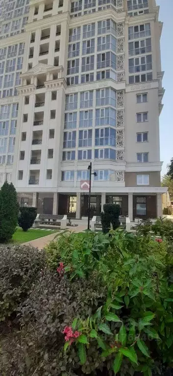 1-к кв. Саратовская область, Саратов Московская ул., 43В (43.0 м) - Фото 1