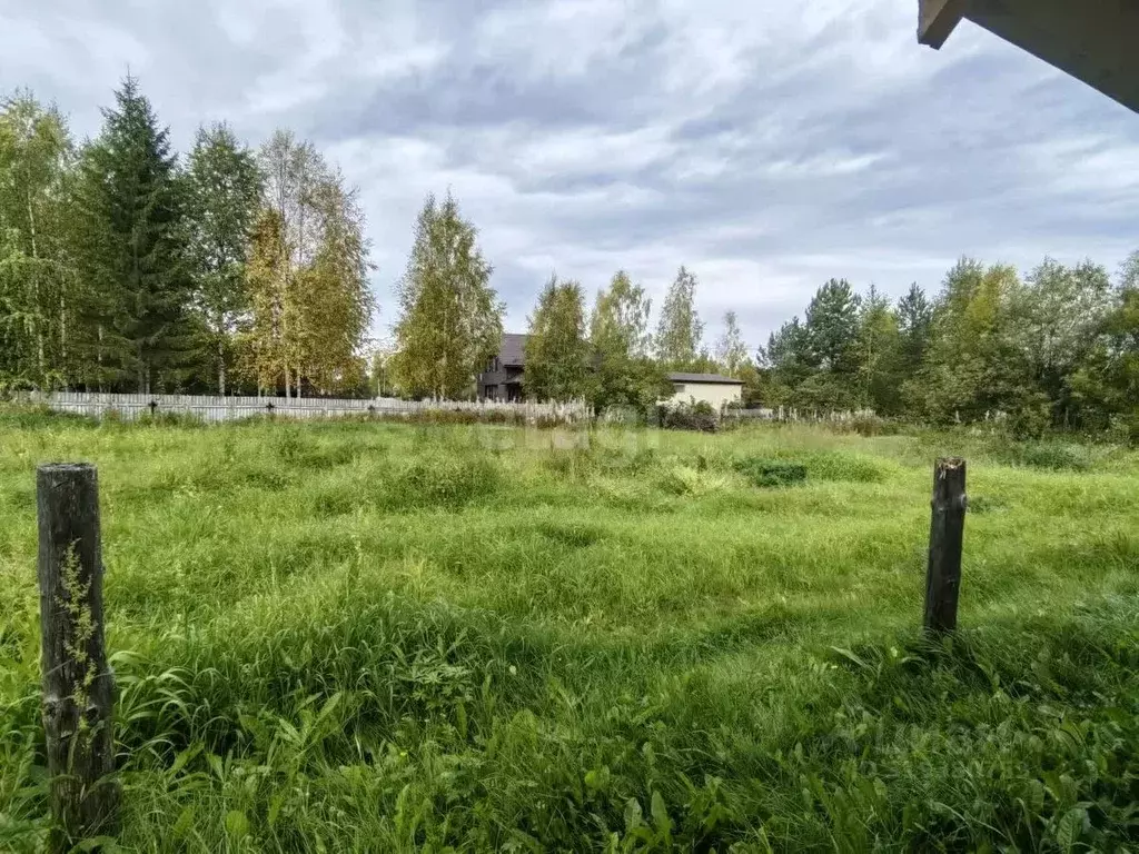 Участок в Коми, Сыктывдинский район, Выльгорт муниципальное ... - Фото 2