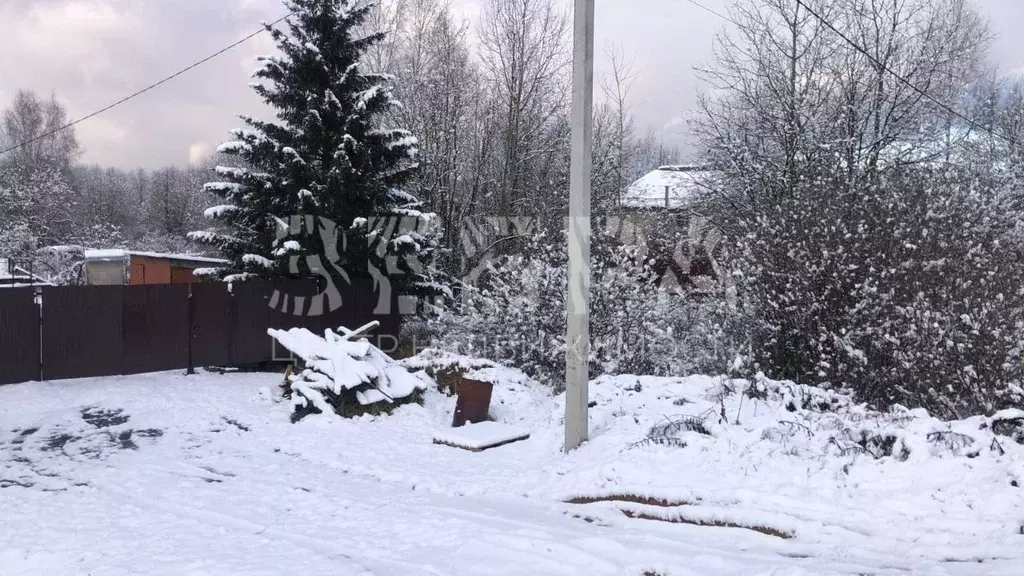 Участок в Владимирская область, Александровский муниципальный округ, ... - Фото 2