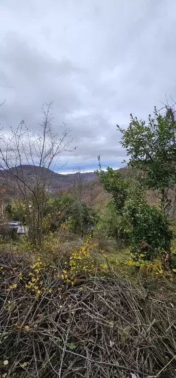 Участок в Краснодарский край, Сочи городской округ, с. Лесное, Авиатор ... - Фото 0