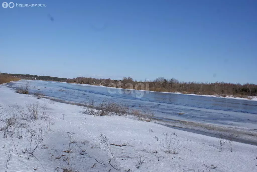 Участок в Псковский район, Тямшанская волость, деревня Барановка (30 ... - Фото 1