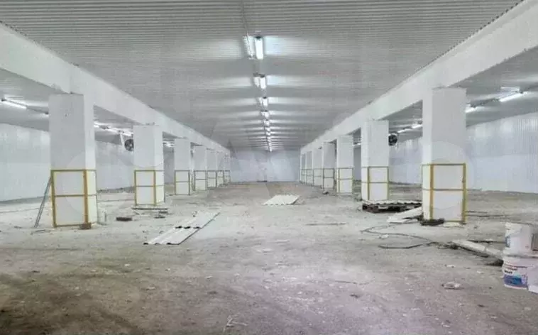 Холодильник 1000 кв.м - Фото 0