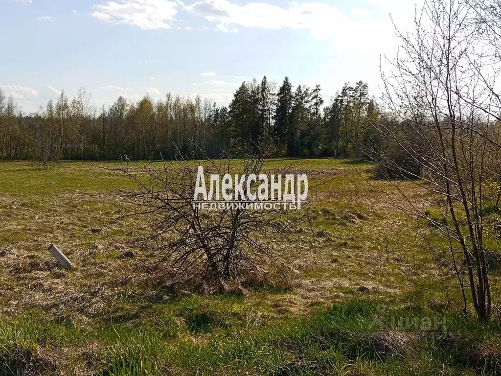 Участок в Ленинградская область, Приозерский район, Ларионовское ... - Фото 1