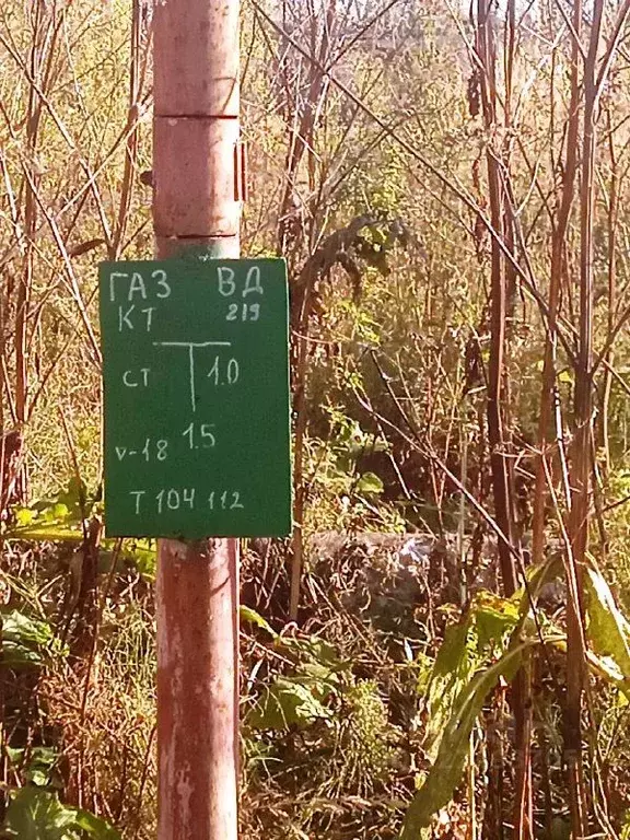 Участок в Ленинградская область, Гатчинский муниципальный округ, д. ... - Фото 2