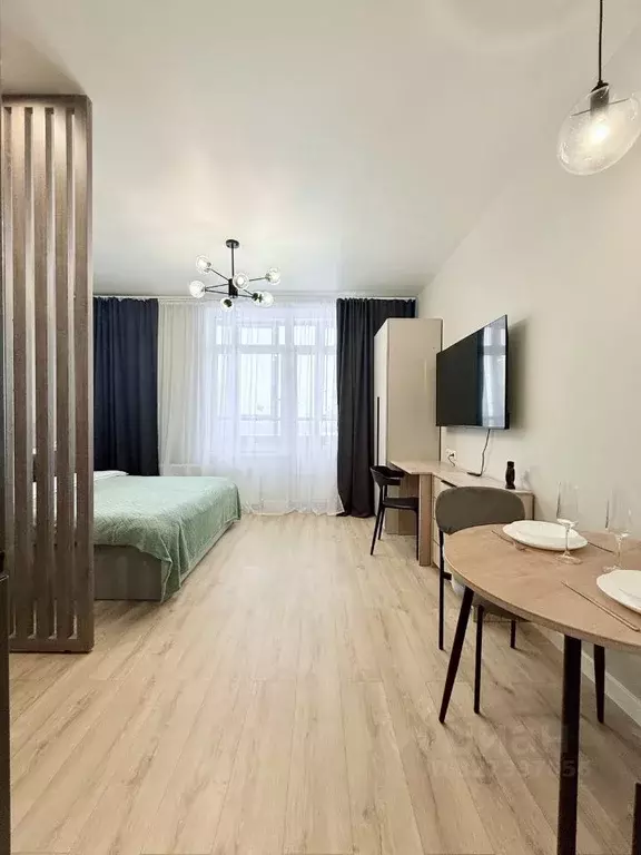 Студия Московская область, Солнечногорск городской округ, Ржавки пгт ... - Фото 2