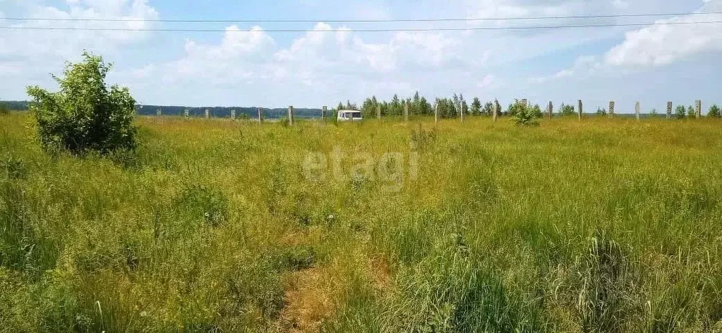 Участок в Челябинская область, Копейск Курочкино-1 СНТ, ул. Лесная ... - Фото 0