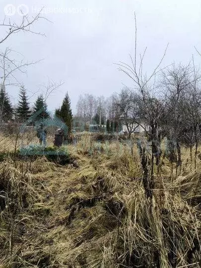 Дом в Калужская область, Боровский муниципальный округ, дачное ... - Фото 2