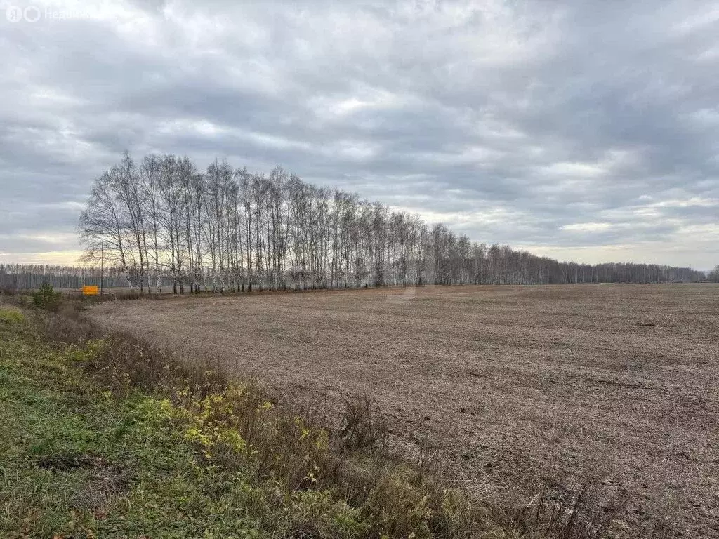 Участок в Тамбовский муниципальный округ, село Лысые Горы (11.66 м) - Фото 1